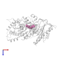 2'-DEOXYADENOSINE 5'-TRIPHOSPHATE in PDB entry 5kfy, assembly 1, top view.