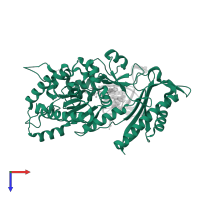 DNA polymerase eta in PDB entry 5kfz, assembly 1, top view.