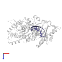 DNA (5'-D(*AP*GP*CP*GP*TP*CP*AP*TP*A)-3') in PDB entry 5kg4, assembly 1, top view.