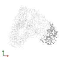 Anaphase-promoting complex subunit 7 in PDB entry 5khu, assembly 1, front view.