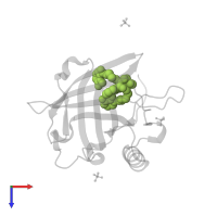 N,N'-butane-1,4-diylbis[1-hydroxy-N-(3-{[(1-hydroxy-6-oxo-1,6-dihydropyridin-2-yl)carbonyl]amino}propyl)-6-oxo-1,6-dihydropyridine-2-carboxamide] in PDB entry 5kic, assembly 3, top view.