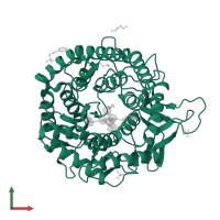 Endoplasmic reticulum mannosyl-oligosaccharide 1,2-alpha-mannosidase in PDB entry 5kij, assembly 1, front view.