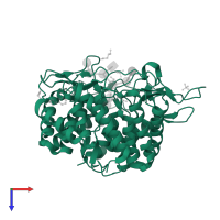 Endoplasmic reticulum mannosyl-oligosaccharide 1,2-alpha-mannosidase in PDB entry 5kij, assembly 1, top view.