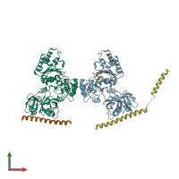 PDB entry 5kiw coloured by chain, front view.