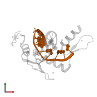 DNA (5'-D(*AP*GP*CP*GP*TP*GP*GP*GP*(5FC)P*GP*T)-3') in PDB entry 5kl4, assembly 2, front view.