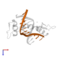 DNA (5'-D(*AP*GP*CP*GP*TP*GP*GP*GP*(5FC)P*GP*T)-3') in PDB entry 5kl4, assembly 2, top view.
