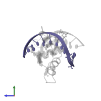 DNA (5'-D(*TP*AP*(5CM)P*GP*CP*CP*CP*AP*CP*GP*C)-3') in PDB entry 5kl4, assembly 2, side view.