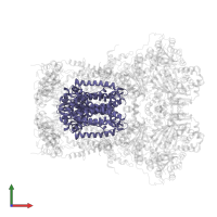 Cytochrome b in PDB entry 5klv, assembly 1, front view.