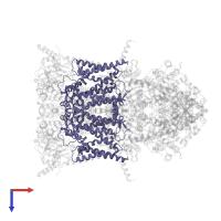 Cytochrome b in PDB entry 5klv, assembly 1, top view.