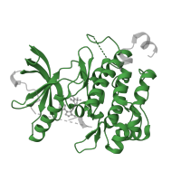 The deposited structure of PDB entry 5kml contains 1 copy of Pfam domain PF07714 (Protein tyrosine and serine/threonine kinase) in High affinity nerve growth factor receptor. Showing 1 copy in chain A.