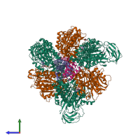 Hetero octameric assembly 1 of PDB entry 5knc coloured by chemically distinct molecules, side view.