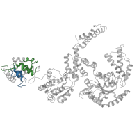 The deposited structure of PDB entry 5kne contains 12 copies of Pfam domain PF02861 (Clp amino terminal domain, pathogenicity island component) in Heat shock protein 104. Showing 2 copies in chain D.