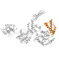 The deposited structure of PDB entry 5kne contains 6 copies of Pfam domain PF10431 (C-terminal, D2-small domain, of ClpB protein ) in Heat shock protein 104. Showing 1 copy in chain D.