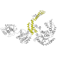 The deposited structure of PDB entry 5kne contains 6 copies of Pfam domain PF17871 (AAA lid domain) in Heat shock protein 104. Showing 1 copy in chain D.