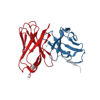 The deposited structure of PDB entry 5kov contains 12 copies of CATH domain 2.60.40.10 (Immunoglobulin-like) in PL-2 scFv chain. Showing 2 copies in chain G [auth I].