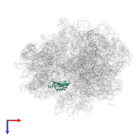 GTP pyrophosphokinase in PDB entry 5kps, assembly 1, top view.