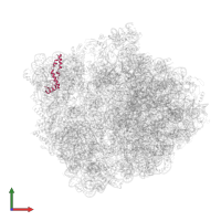 Small ribosomal subunit protein uS14 in PDB entry 5kps, assembly 1, front view.