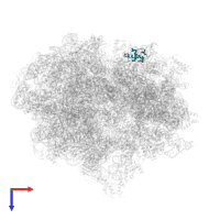 Small ribosomal subunit protein bS18 in PDB entry 5kpw, assembly 1, top view.