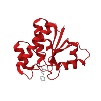 The deposited structure of PDB entry 5kqm contains 1 copy of CATH domain 3.40.50.2300 (Rossmann fold) in Low molecular weight phosphotyrosine protein phosphatase. Showing 1 copy in chain A.