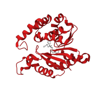 The deposited structure of PDB entry 5kva contains 2 copies of CATH domain 3.40.50.150 (Rossmann fold) in caffeoyl-CoA O-methyltransferase. Showing 1 copy in chain B.