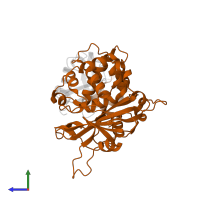 Ubiquitin carboxyl-terminal hydrolase 7 in PDB entry 5kyd, assembly 1, side view.