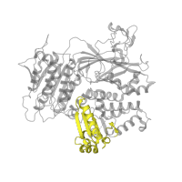 The deposited structure of PDB entry 5kyn contains 2 copies of Pfam domain PF00626 (Gelsolin repeat) in Protein transport protein Sec23A. Showing 1 copy in chain A.