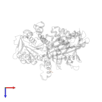 Transport and Golgi organization protein 1 homolog in PDB entry 5kyn, assembly 2, top view.