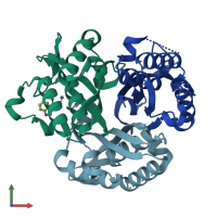 PDB entry 5l03 coloured by chain, front view.