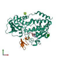 PDB entry 5l0r coloured by chain, front view.