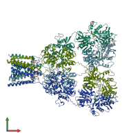 PDB entry 5l1e coloured by chain, front view.