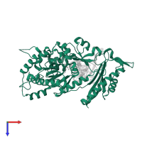 DNA polymerase eta in PDB entry 5l1i, assembly 1, top view.