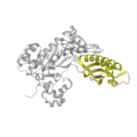 The deposited structure of PDB entry 5l1l contains 1 copy of Pfam domain PF11799 (impB/mucB/samB family C-terminal domain) in DNA polymerase eta. Showing 1 copy in chain A.