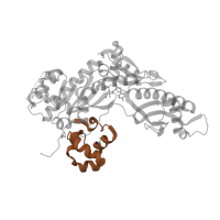 The deposited structure of PDB entry 5l1l contains 1 copy of Pfam domain PF21704 (DNApol eta/Rev1, HhH motif) in DNA polymerase eta. Showing 1 copy in chain A.