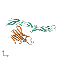 PDB entry 5l36 coloured by chain, front view.