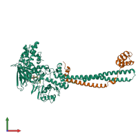 PDB entry 5l3b coloured by chain, front view.