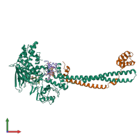 PDB entry 5l3e coloured by chain, front view.