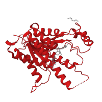 The deposited structure of PDB entry 5l4n contains 4 copies of CATH domain 3.40.50.720 (Rossmann fold) in Pteridine reductase 1. Showing 1 copy in chain C.