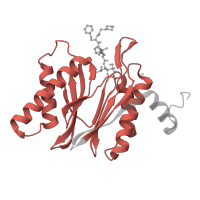 The deposited structure of PDB entry 5l5e contains 4 copies of Pfam domain PF00227 (Proteasome subunit) in Proteasome subunit beta type-5. Showing 2 copies in chain K.