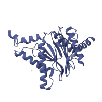 The deposited structure of PDB entry 5l5e contains 2 copies of CATH domain 3.60.20.10 (Glutamine Phosphoribosylpyrophosphate, subunit 1, domain 1) in Proteasome subunit alpha type-1. Showing 1 copy in chain G.