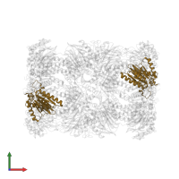 Proteasome subunit alpha type-1 in PDB entry 5l5w, assembly 1, front view.
