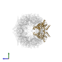 Proteasome subunit alpha type-1 in PDB entry 5l5w, assembly 1, side view.