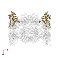Proteasome subunit alpha type-1 in PDB entry 5l5w, assembly 1, top view.