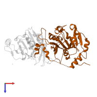 N6-adenosine-methyltransferase non-catalytic subunit in PDB entry 5l6e, assembly 1, top view.