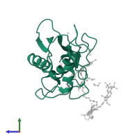 Macrophage metalloelastase in PDB entry 5l7f, assembly 2, side view.