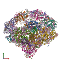 PDB entry 5l8r coloured by chain, front view.