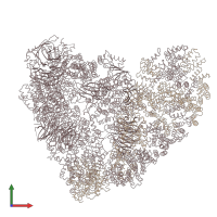 PDB entry 5l9t coloured by chain, front view.
