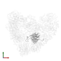 Fizzy-related protein homolog in PDB entry 5l9t, assembly 1, front view.