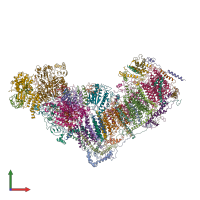 PDB entry 5ldw coloured by chain, front view.