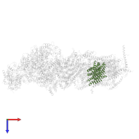 NADH-ubiquinone oxidoreductase chain 4 in PDB entry 5ldx, assembly 1, top view.