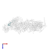 NADH dehydrogenase [ubiquinone] iron-sulfur protein 6, mitochondrial in PDB entry 5ldx, assembly 1, top view.